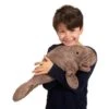 Folkmanis MANATEE PUPPET -Toy Discount Store folkmanis manatee puppet