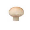 MANOLO THE MUSHROOM TEETHER -Toy Discount Store oli carol manolo the mushroom teether